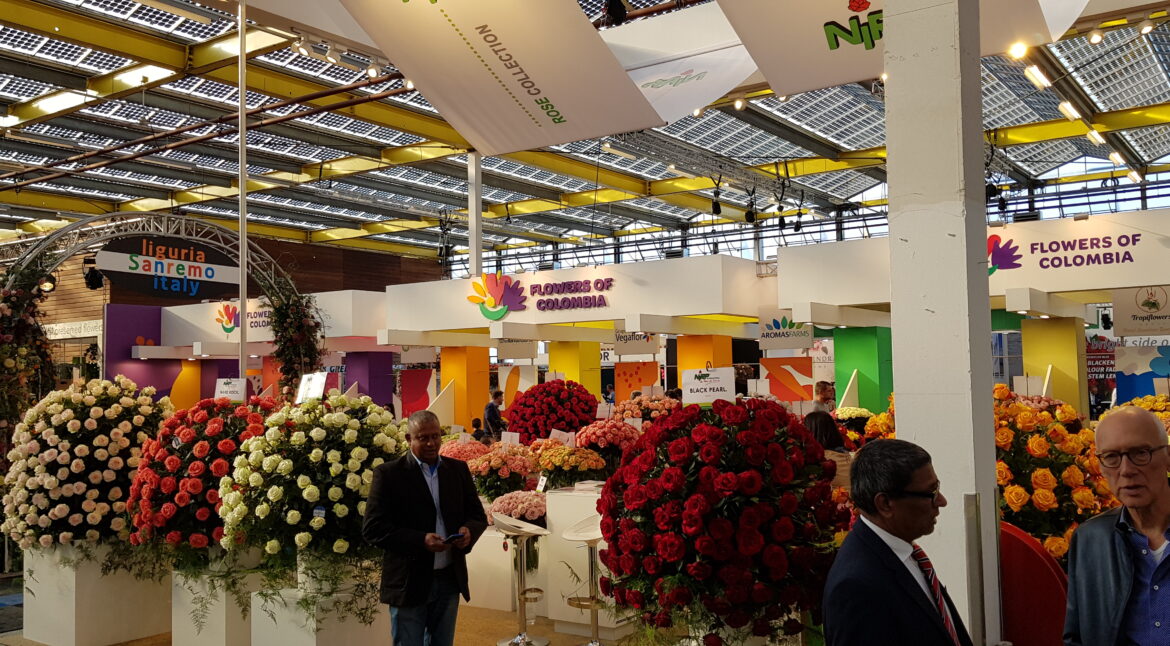 IFTF 2018 tradeshow at the Expo Greater Amsterdam in Vijfhuizen