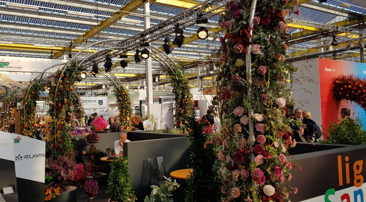 image from IFTF show 2018